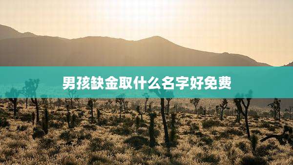 男孩缺金取什么名字好免费