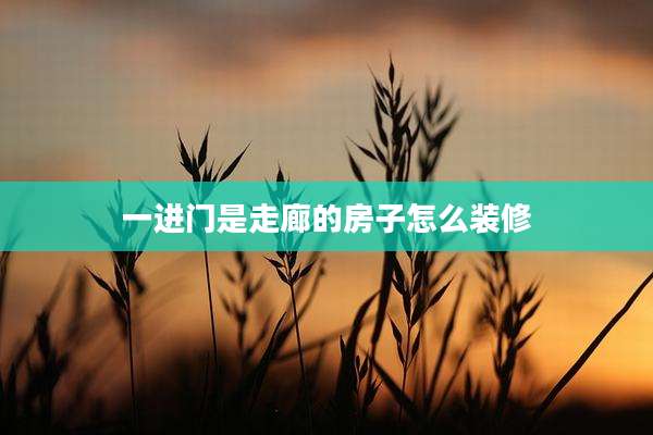 一进门是走廊的房子怎么装修
