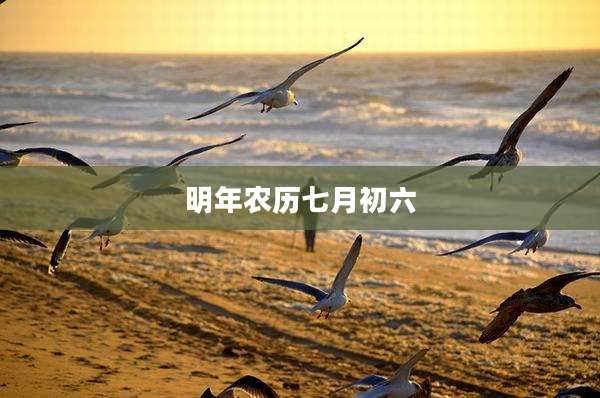 明年农历七月初六