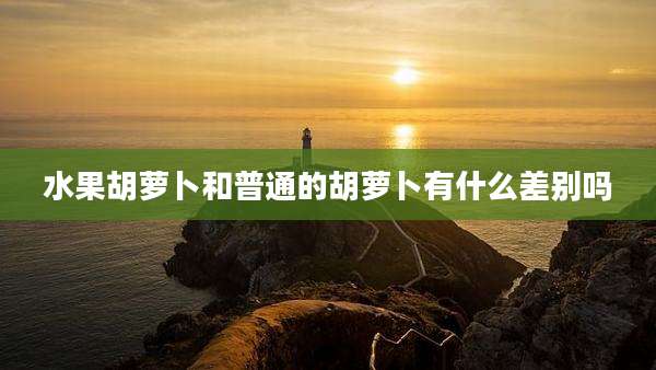 水果胡萝卜和普通的胡萝卜有什么差别吗