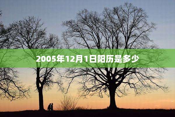 2005年12月1日阳历是多少