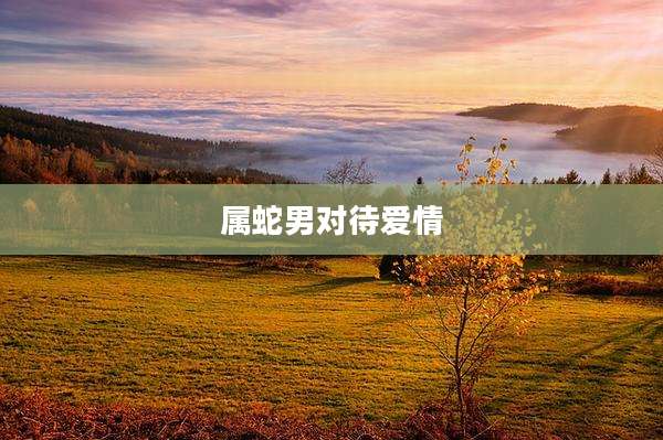 属蛇男对待爱情