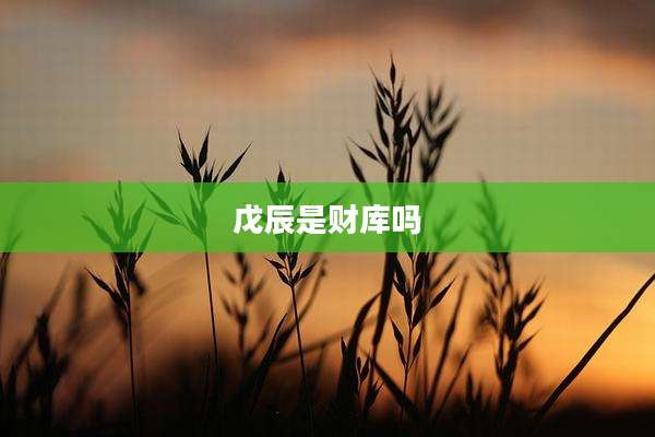 戊辰是财库吗