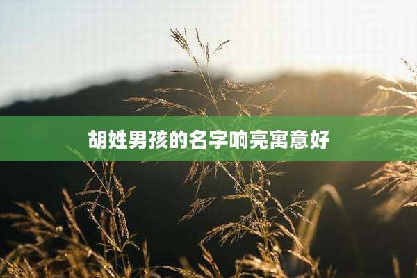 胡姓男孩的名字响亮寓意好