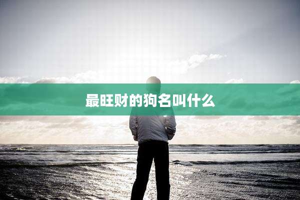 最旺财的狗名叫什么