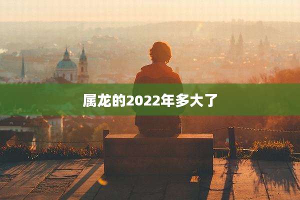 属龙的2022年多大了