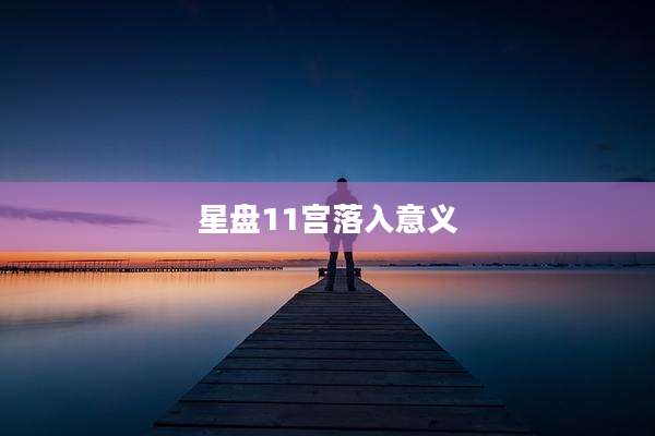 星盘11宫落入意义