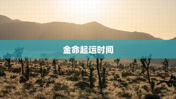 金命起运时间