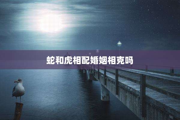 蛇和虎相配婚姻相克吗
