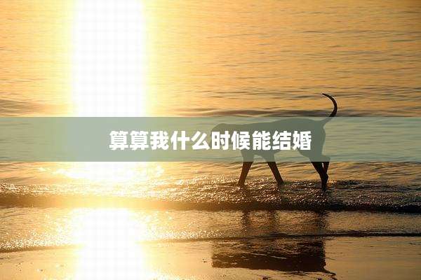 算算我什么时候能结婚