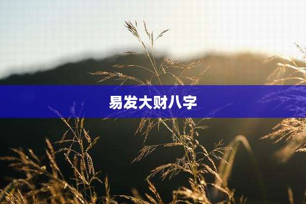 易发大财八字