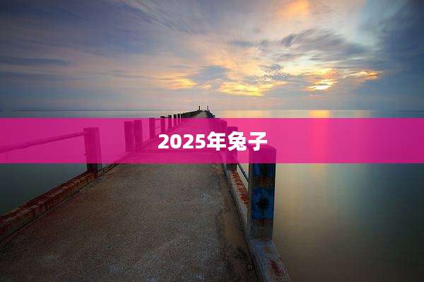 2025年兔子