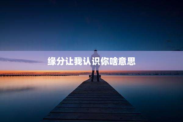 缘分让我认识你啥意思