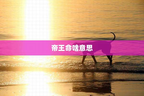 帝王命啥意思