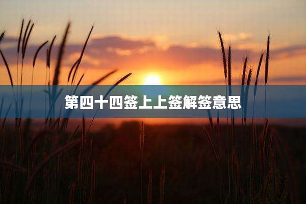 第四十四签上上签解签意思