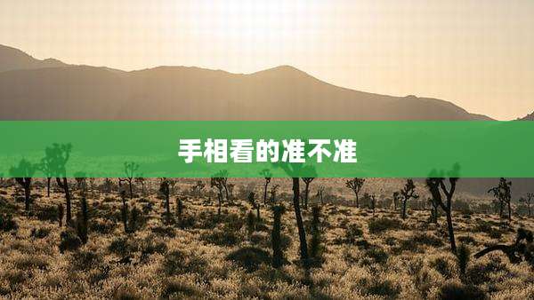 手相看的准不准
