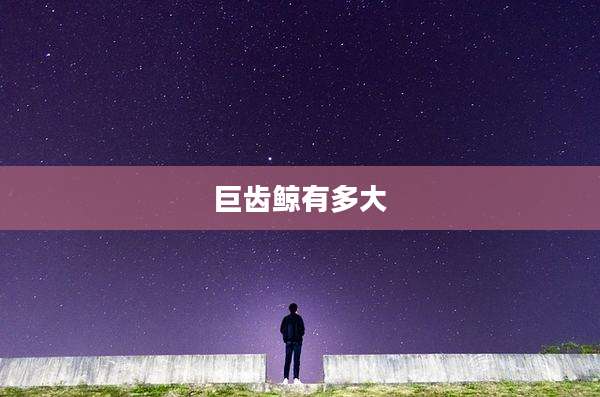 巨齿鲸有多大