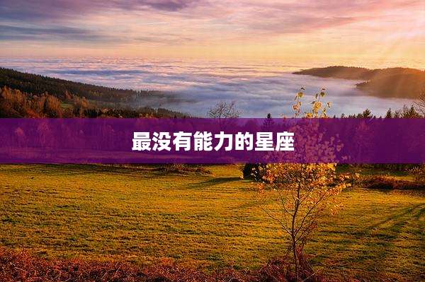 最没有能力的星座