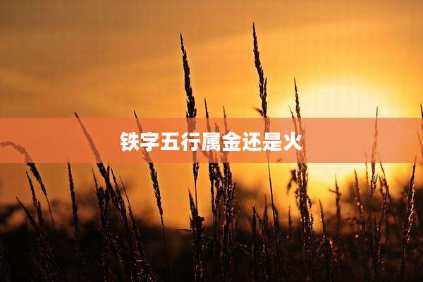 铁字五行属金还是火