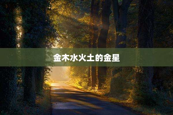 金木水火土的金星