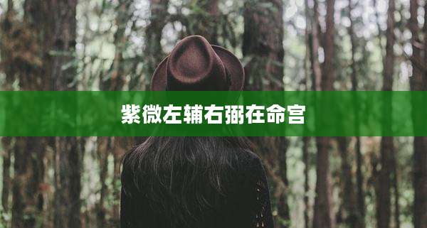 紫微左辅右弼在命宫