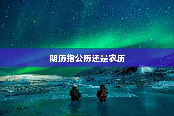 阴历指公历还是农历