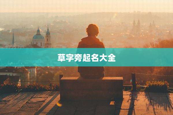 草字旁起名大全