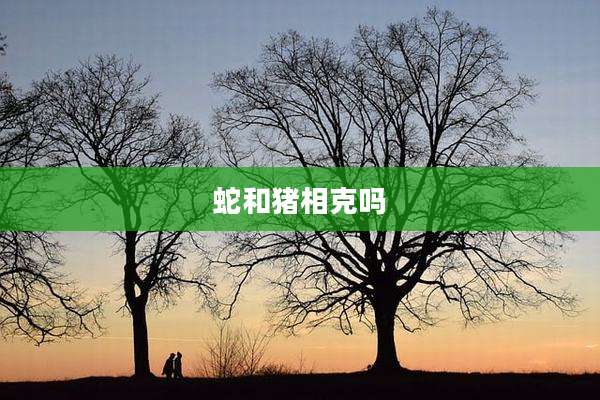 蛇和猪相克吗