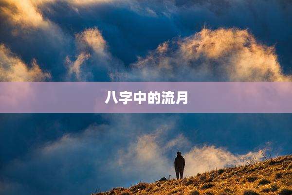八字中的流月