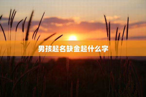 男孩起名缺金起什么字