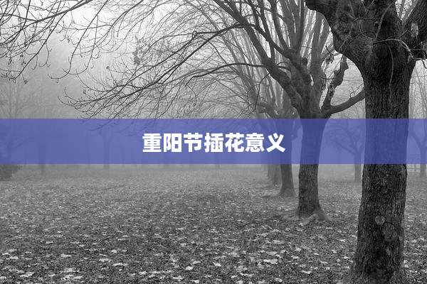 重阳节插花意义