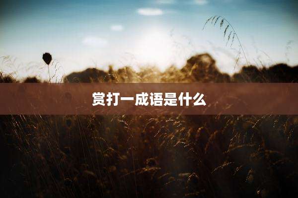 赏打一成语是什么