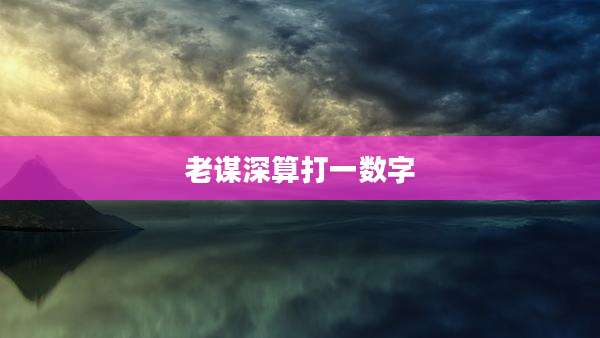 老谋深算打一数字