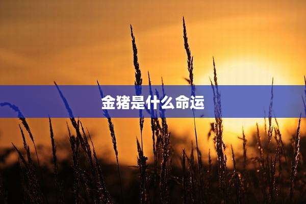 金猪是什么命运