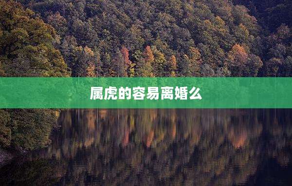 属虎的容易离婚么
