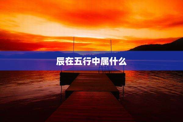 辰在五行中属什么