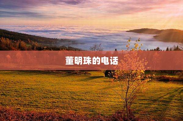 董明珠的电话