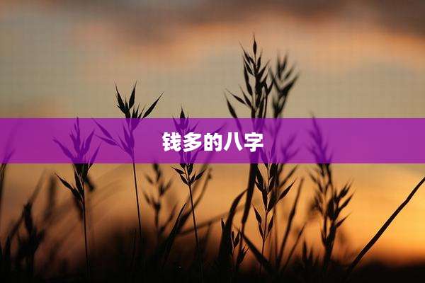 钱多的八字