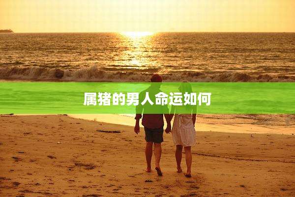 属猪的男人命运如何