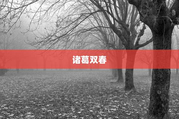 诸葛双春
