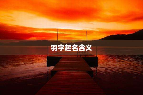 羽字起名含义