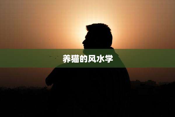 养猫的风水学