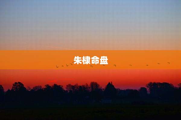 朱棣命盘