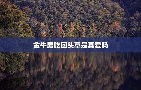 金牛男吃回头草是真爱吗