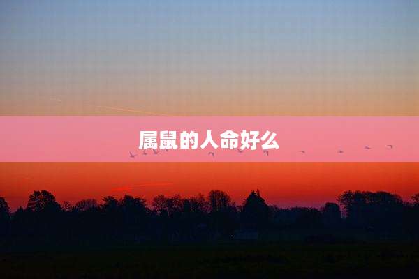 属鼠的人命好么