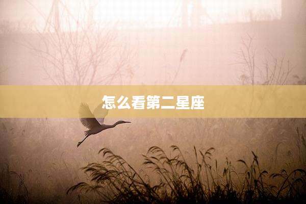 怎么看第二星座