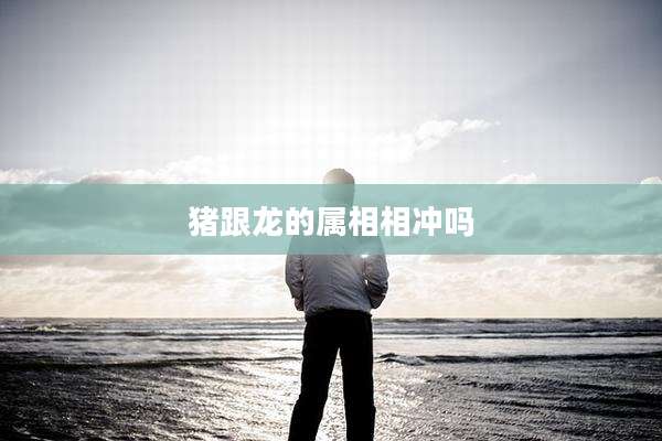 猪跟龙的属相相冲吗