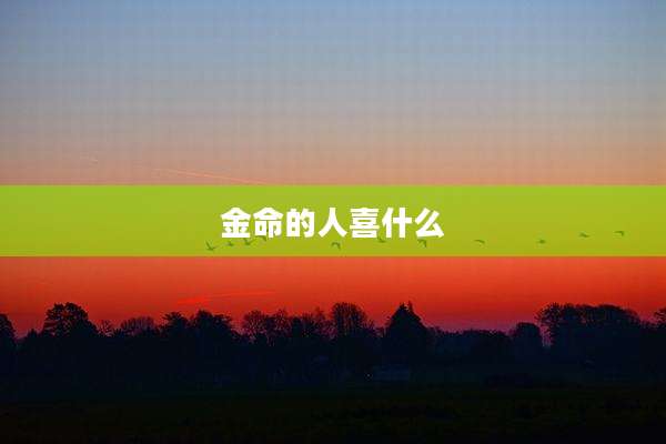 金命的人喜什么