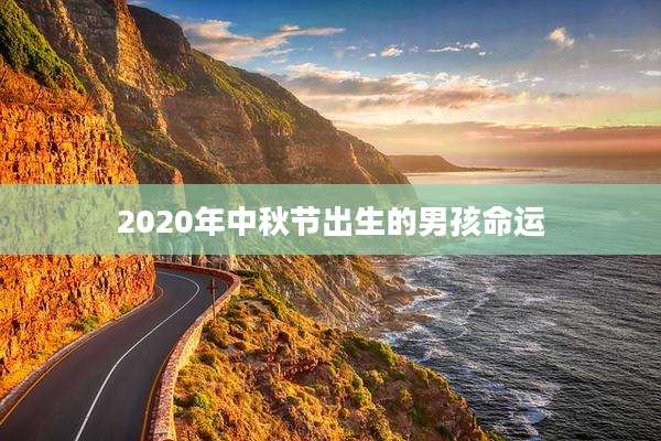 2020年中秋节出生的男孩命运
