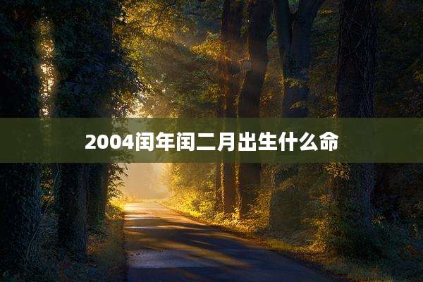 2004闰年闰二月出生什么命
